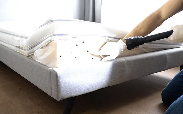 Technician in protective gloves inspecting a mattress seam for bed bugs in a Syracuse home